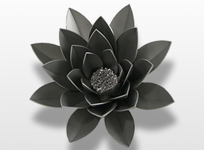 RVS Bloem Lily